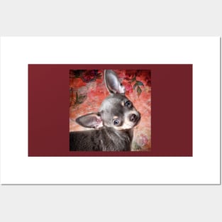 Adorable Cheeky Chihuahua Cute Face red art Posters and Art